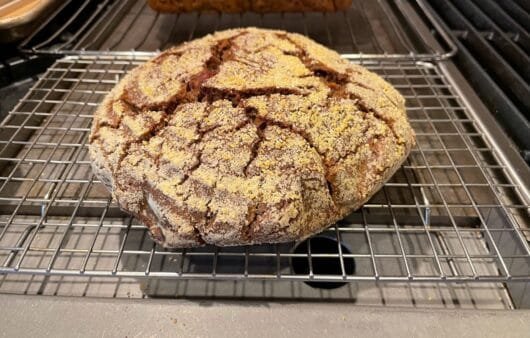 Rustic Gluten-Free Millet & Buckwheat Boule