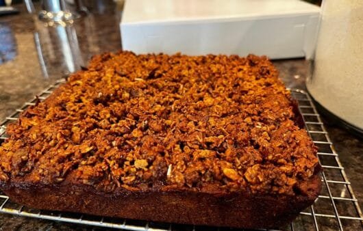 Gluten-Free Apple Cinnamon Crumble Cake (Dairy-Free, Soy-Free)