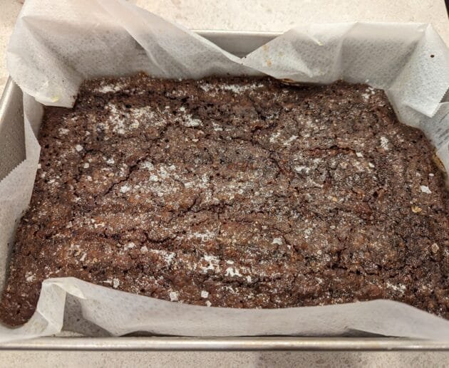 Fudgy Sea Salt Brownies (Gluten-Free, Soy-Free, Dairy-Free)