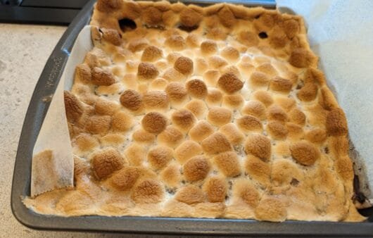 Gluten-Free, Soy-Free, Dairy-Free S'mores Bars