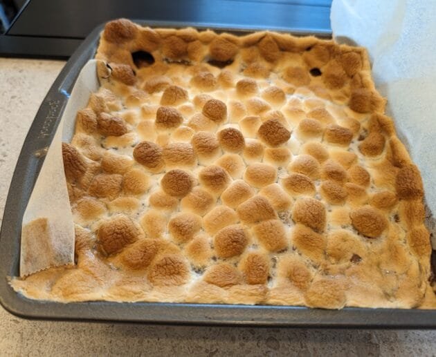 Gluten-Free, Soy-Free, Dairy-Free S'mores Bars