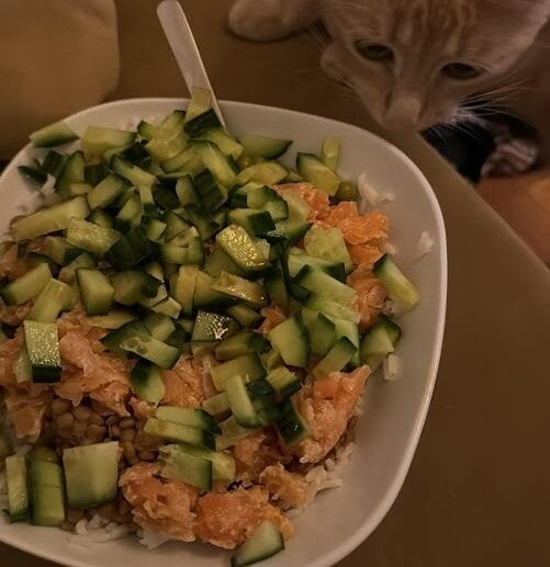 Salmon Rice Bowl with Cucumber Crunch (Gluten-Free, Soy-Free, Dairy-Free)