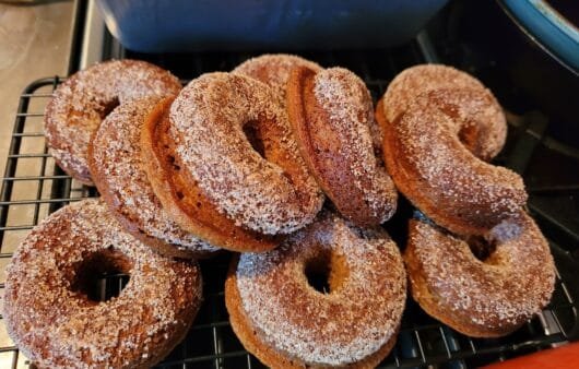 Baked Cinnamon Sugar Donuts (Gluten-Free, Soy-Free, Dairy-Free)