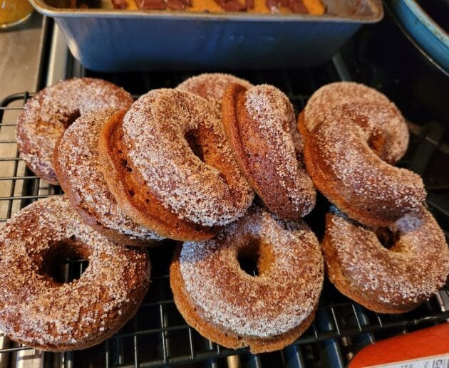 Baked Cinnamon Sugar Donuts (Gluten-Free, Soy-Free, Dairy-Free)