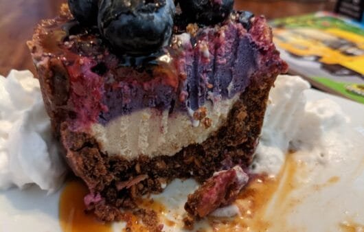 Raw Vegan Blueberry Cheesecake (No-Bake, Gluten-Free, Dairy-Free)
