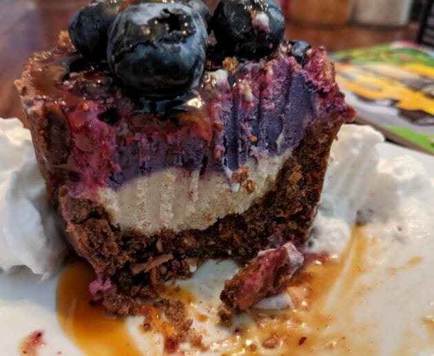 Raw Vegan Blueberry Cheesecake (No-Bake, Gluten-Free, Dairy-Free)
