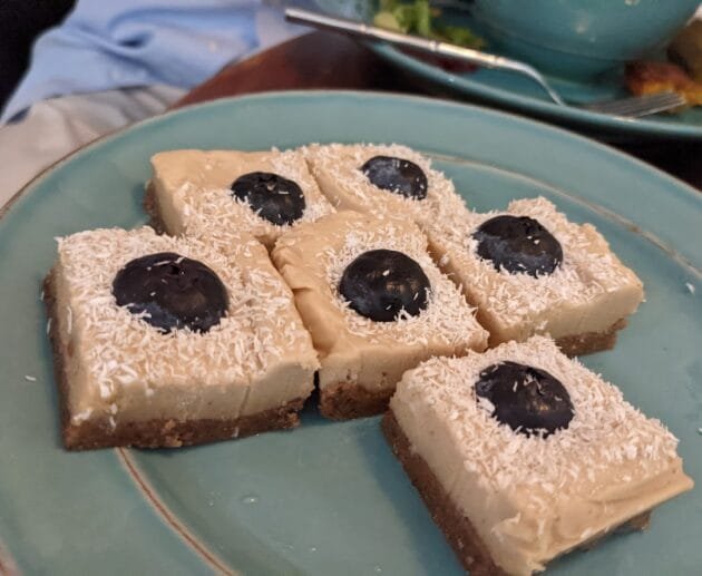 Blueberry Coconut Cheesecake Bites (No-Bake, GF, DF, SF)
