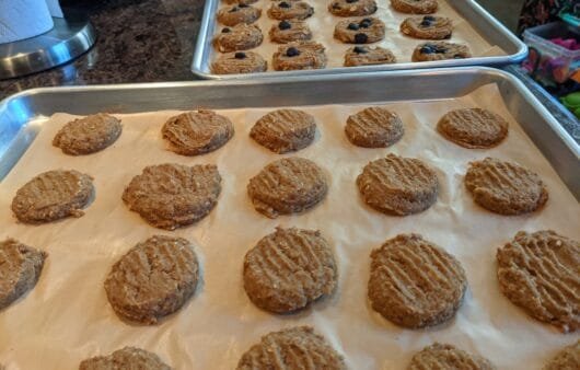 Gluten-Free Peanut Butter Cookies