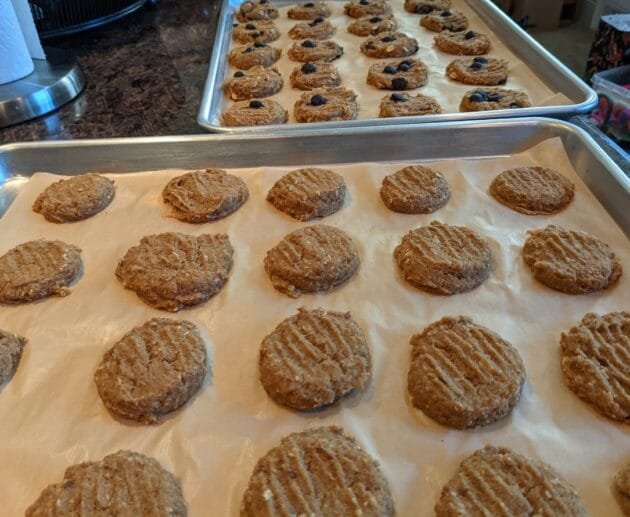 Gluten-Free Peanut Butter Cookies