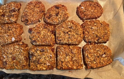 Gluten-Free Coconut Oat Breakfast Bars