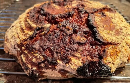 Crusty Cocoa Sourdough-Style Bread (Gluten-Free, Soy-Free, Dairy-Free)