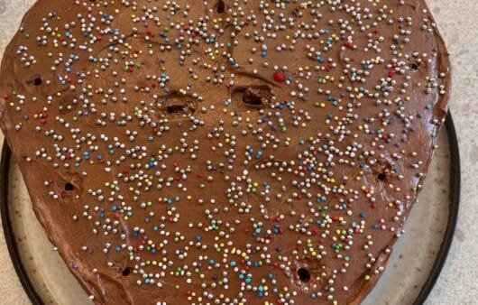 Chocolate Celebration Cake (Gluten-Free, Soy-Free, Dairy-Free)