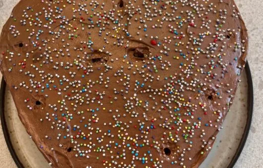 Chocolate Celebration Cake (Gluten-Free, Soy-Free, Dairy-Free)