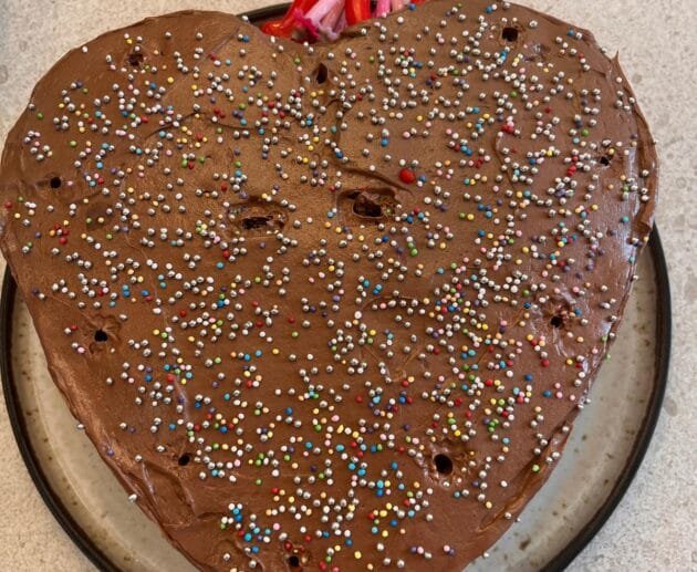 Chocolate Celebration Cake (Gluten-Free, Soy-Free, Dairy-Free)