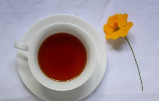 Strawberry Mango Citrus Chamomile Cold Steeped TeaStrawberry Mango Citrus Chamomile Cold Steeped Tea  (Gluten-Free, Dairy-Free, Soy-Free)