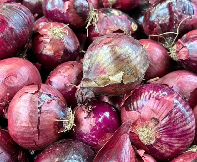 Grain-Free Hemp Baked Bloomin' Onion (Grain-Free, Dairy-Free, Soy-Free)