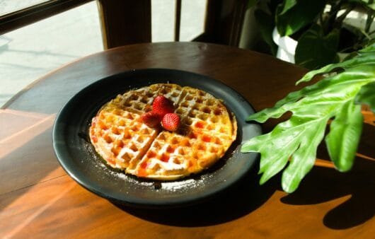 Buckwheat Super-Seed Waffles (Gluten-Free, Dairy-Free, Soy-Free)