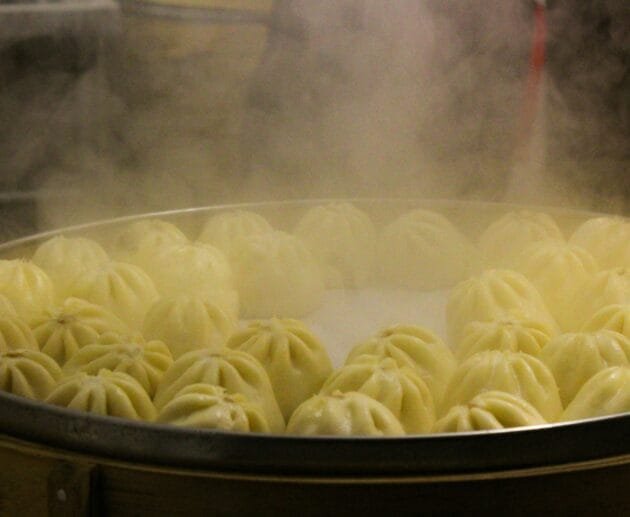 Dr. Igor&rsquo;s Lobster, Pork & Hemp Gyoza Recipe (Gluten-Free, Dairy-Free, Soy-Free - If Substituted)