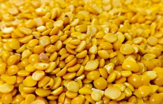 Hemp & Lentil Ratatouille with Pulled Chicken (Gluten-Free, Dairy-Free, Soy-Free)