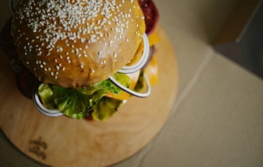 Burgers végétariens aux graines de chanvre (sans gluten, sans produits laitiers, sans soja)