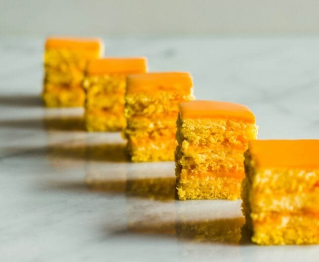 Pumpkin & Hemp Hearts Fudge Protein Bars (Gluten-Free, Dairy-Free, Soy-Free)