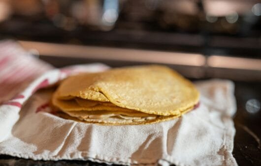 Tigernut & Hemp Oil Homemade Tortillas (Gluten-Free, Dairy-Free, Soy-Free, Paleo-Friendly)