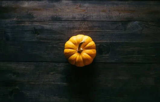 Vegan Pumpkin Banana Hemp Bread (Gluten-Free, Dairy-Free, Soy-Free)