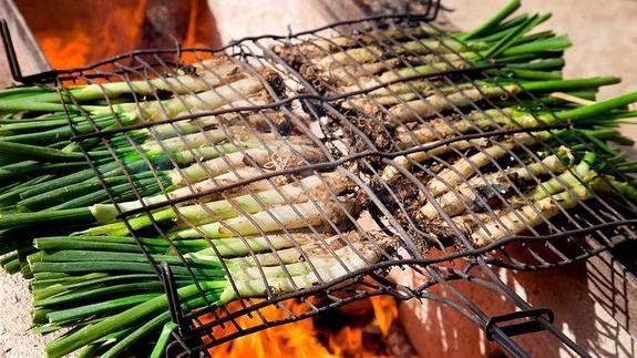 Traditional Catalan Grilled Calçots (Calçotada Style)